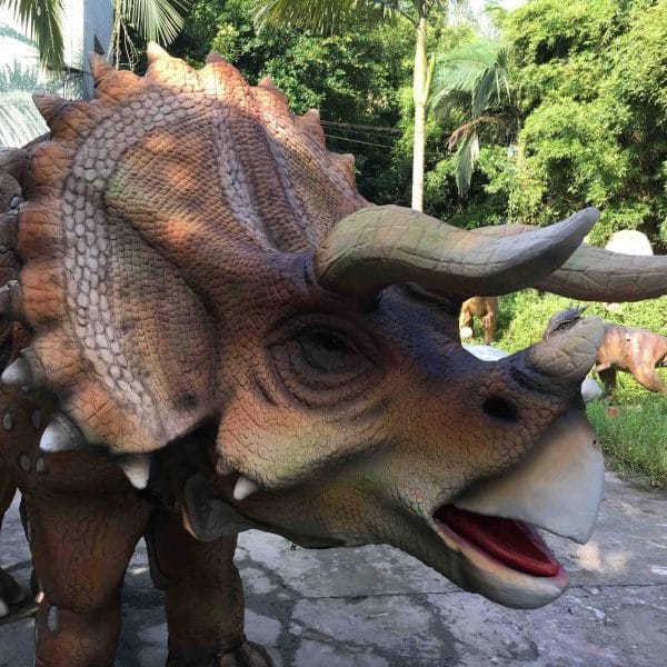 462561363_579042628417162_4170947289880722395_n