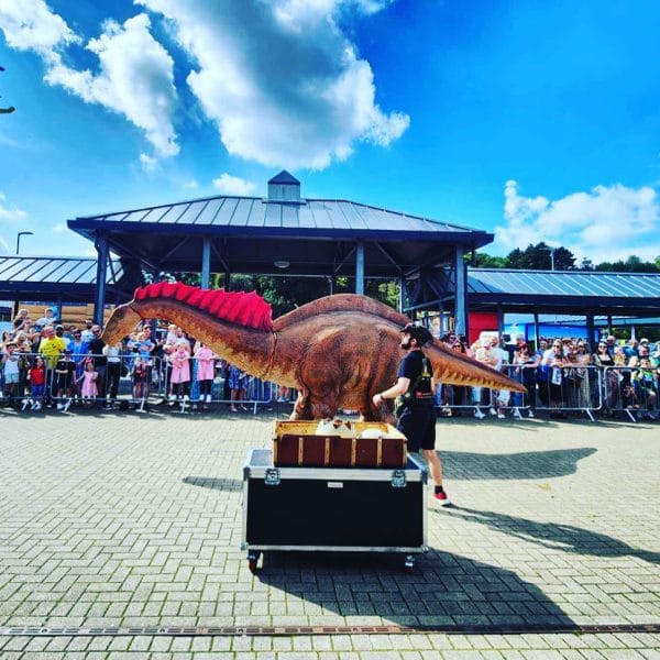 462566427_899021365753780_7983986358053482814_n