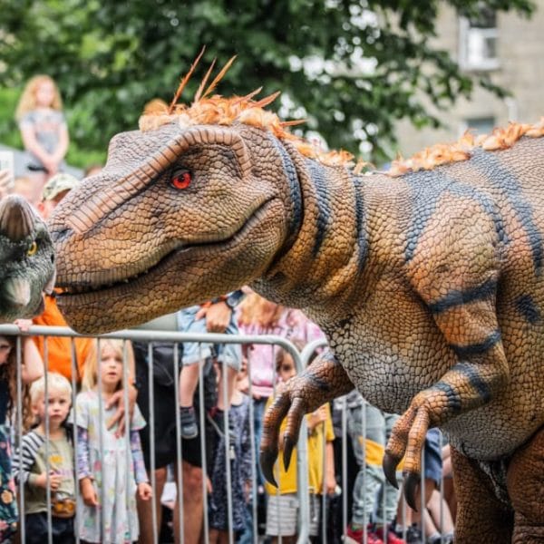 i1mchwki9aqx8cuagjoh