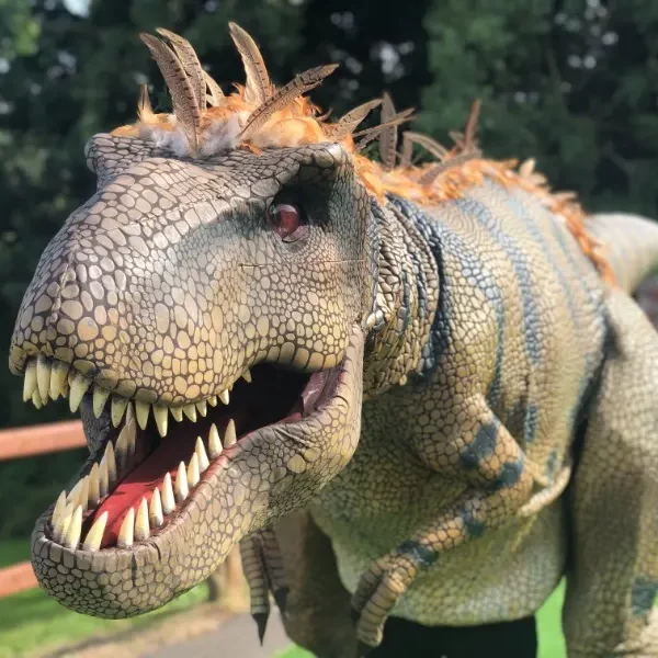 j02rlkfalvj1hqrrpuvs