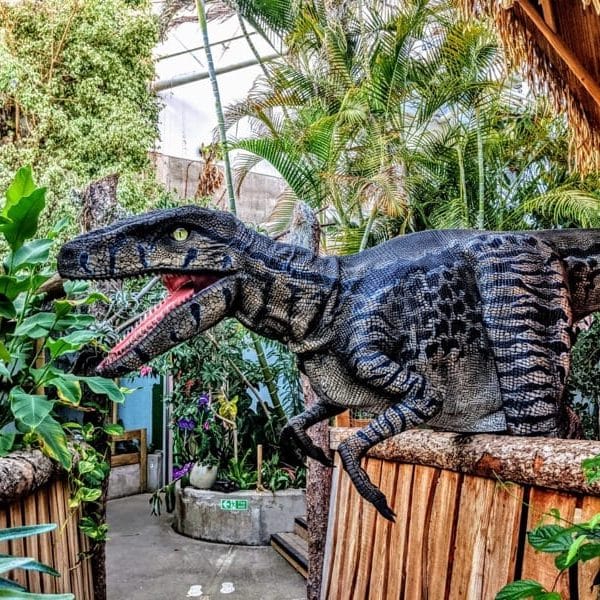 lthnpstoxrkjx2o8woer