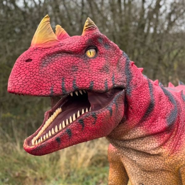 wugdql6ymcyohogsdyhz